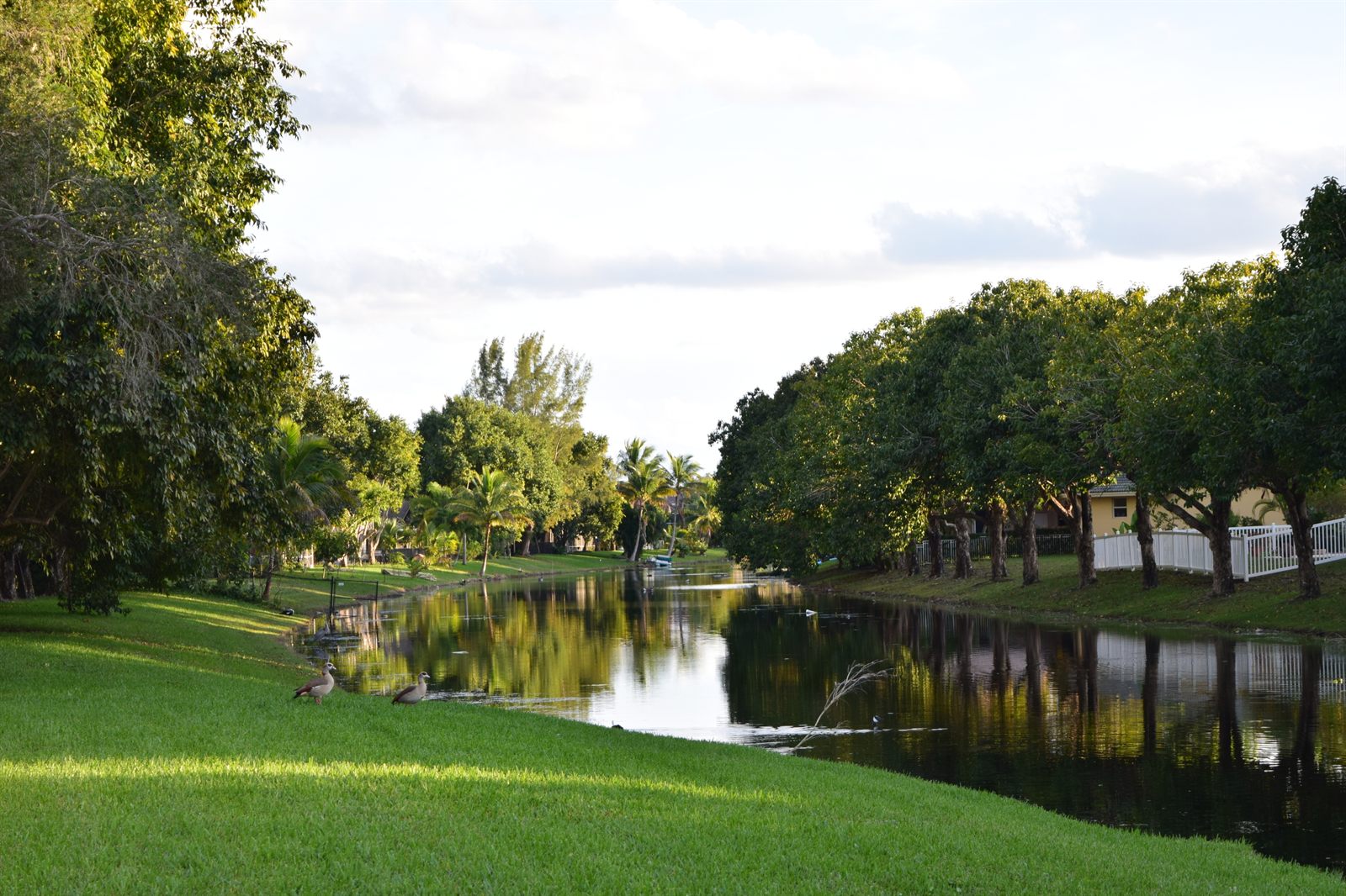 A calm creek lined with shade trees beside a green lawn